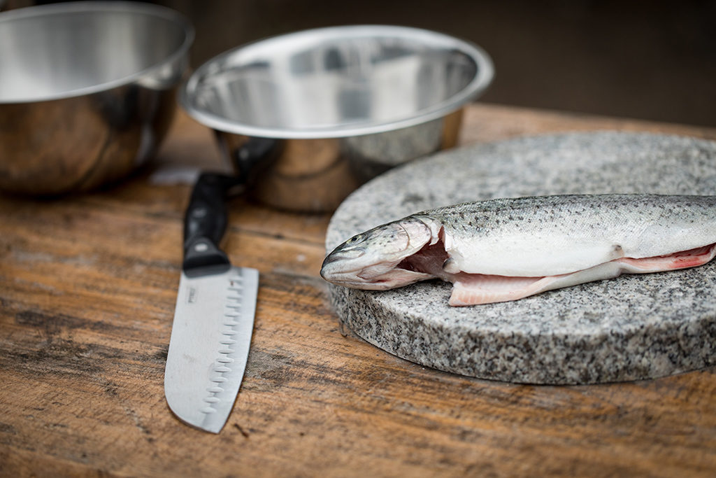 kochen mit fisch