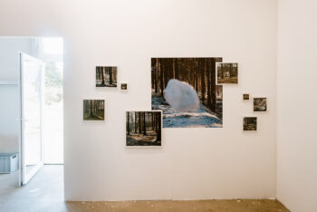 Ausstellung der Fotoserie "Feldstudien 2023" von Jennifer Braun im Quartier am Hafen. Q18 - Ausstellungsraum